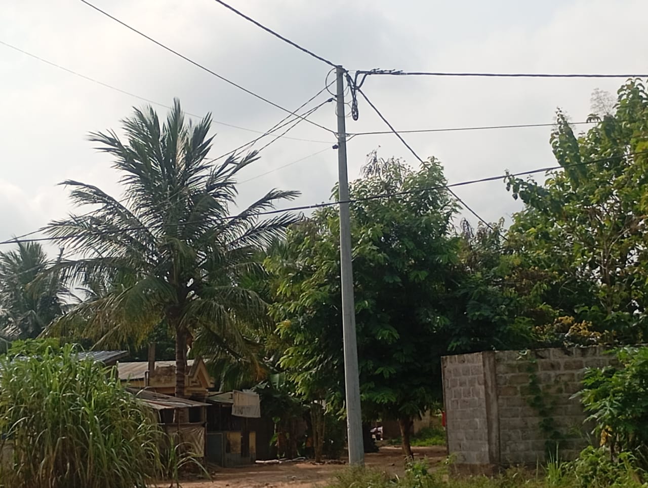 Terrain de 600 m² en vente à Apessito – 15 millions FCFA