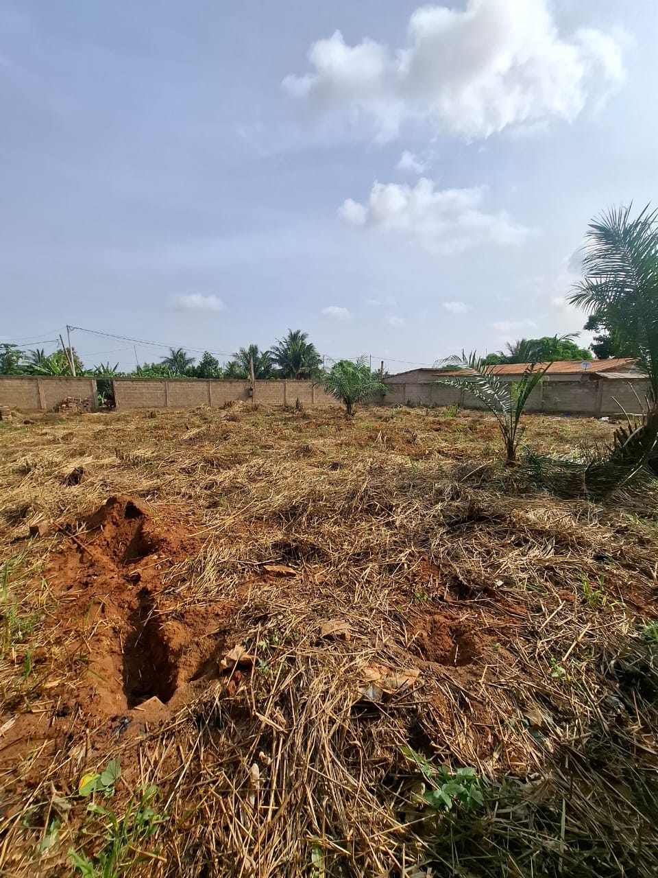 Terrain de 1000 m² en vente à Zanguera Klémé – 11 millions FCFA le demi-lot
