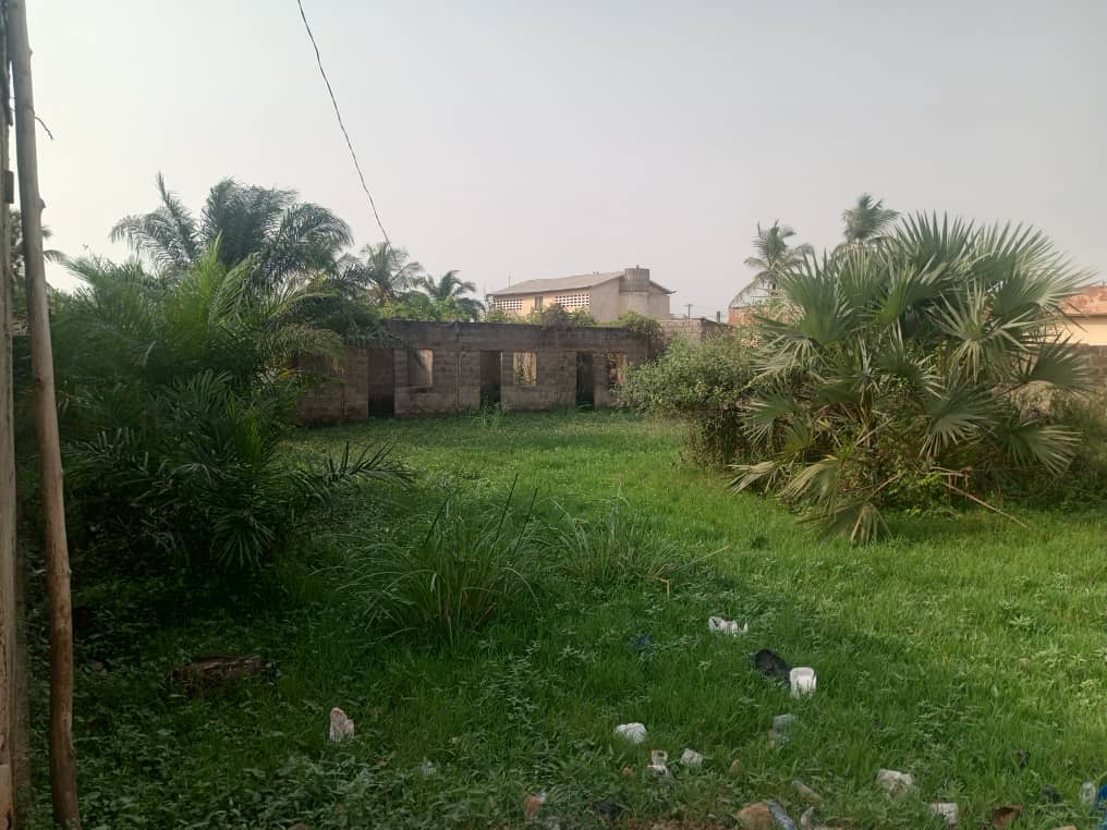 Terrain à vendre à Agoe Zongo – 25 Millions FCFA