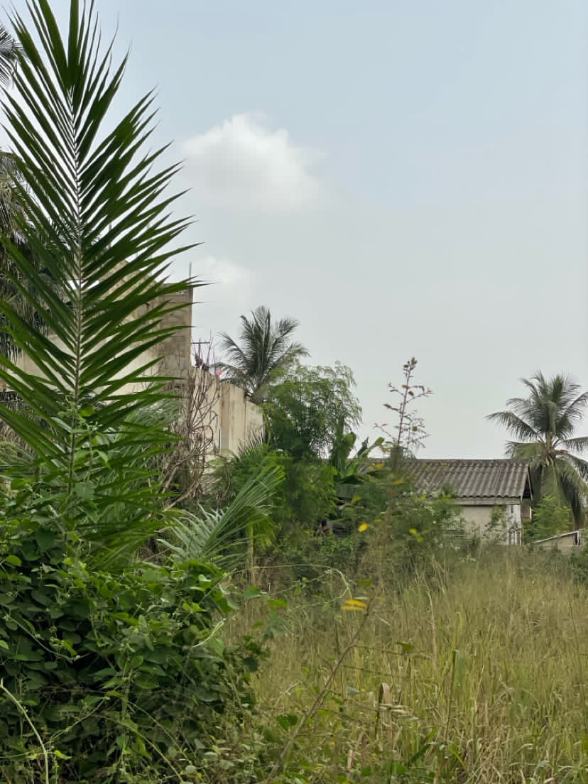 Terrain de 610 m² en vente à Amadahomé Rail IPG – 27 millions FCFA