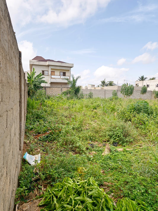Terrain de 1200 m² en vente à Agoè Legbassito Rond-point Zovadjin – 22 millions FCFA le lot