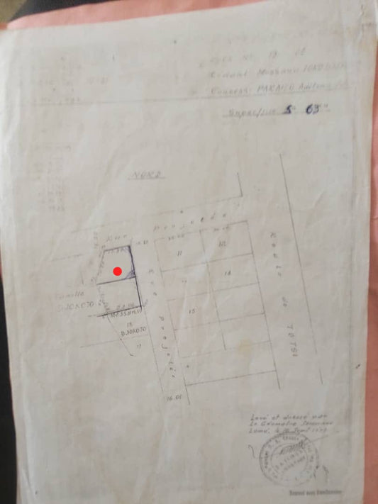 Terrain en angle de rue en vente à Djidjolé – 42 millions FCFA