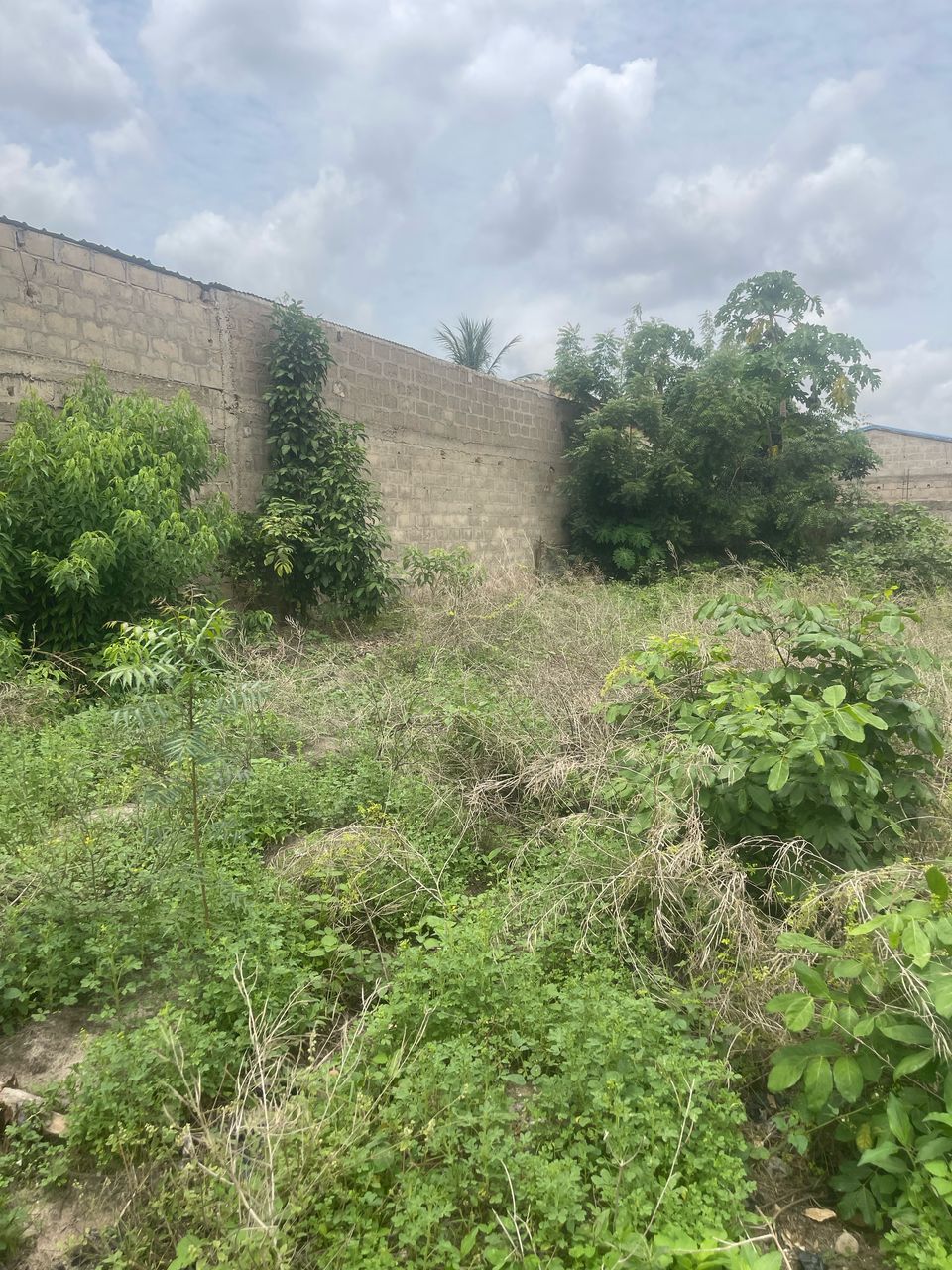 Terrain de 300 m² en vente à Adetikopé Kladjémé – 7 millions FCFA