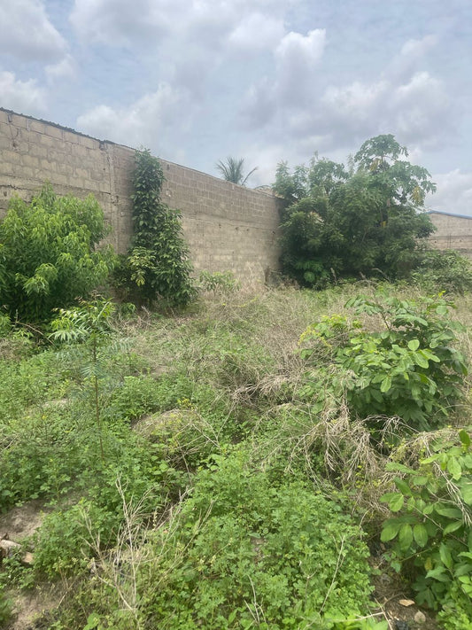 Terrain de 300 m² en vente à Adetikopé Kladjémé – 7 millions FCFA