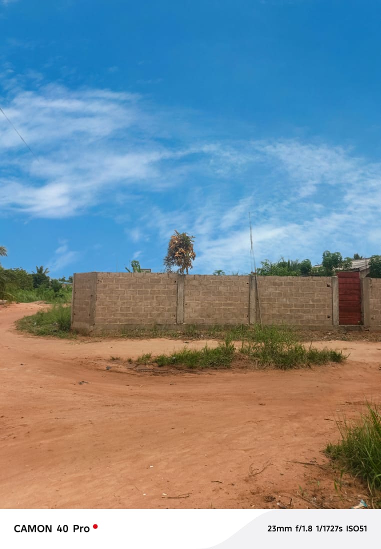 Terrain de 1 lot en vente à Zanguera Digbé – 17 millions FCFA