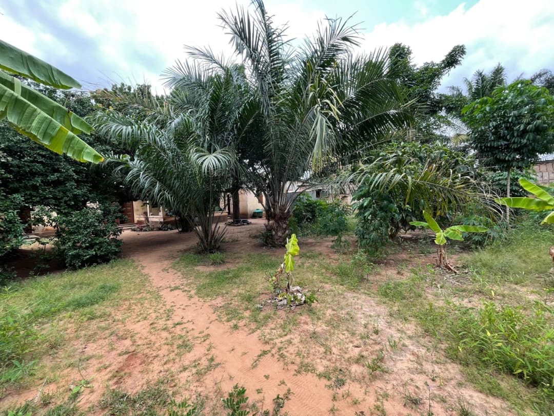 Terrain de 750 m² en vente à Totsi – 60 millions FCFA