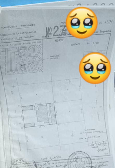 Terrain de 600 m² en vente à Hountigomé Satom – 70 millions FCFA