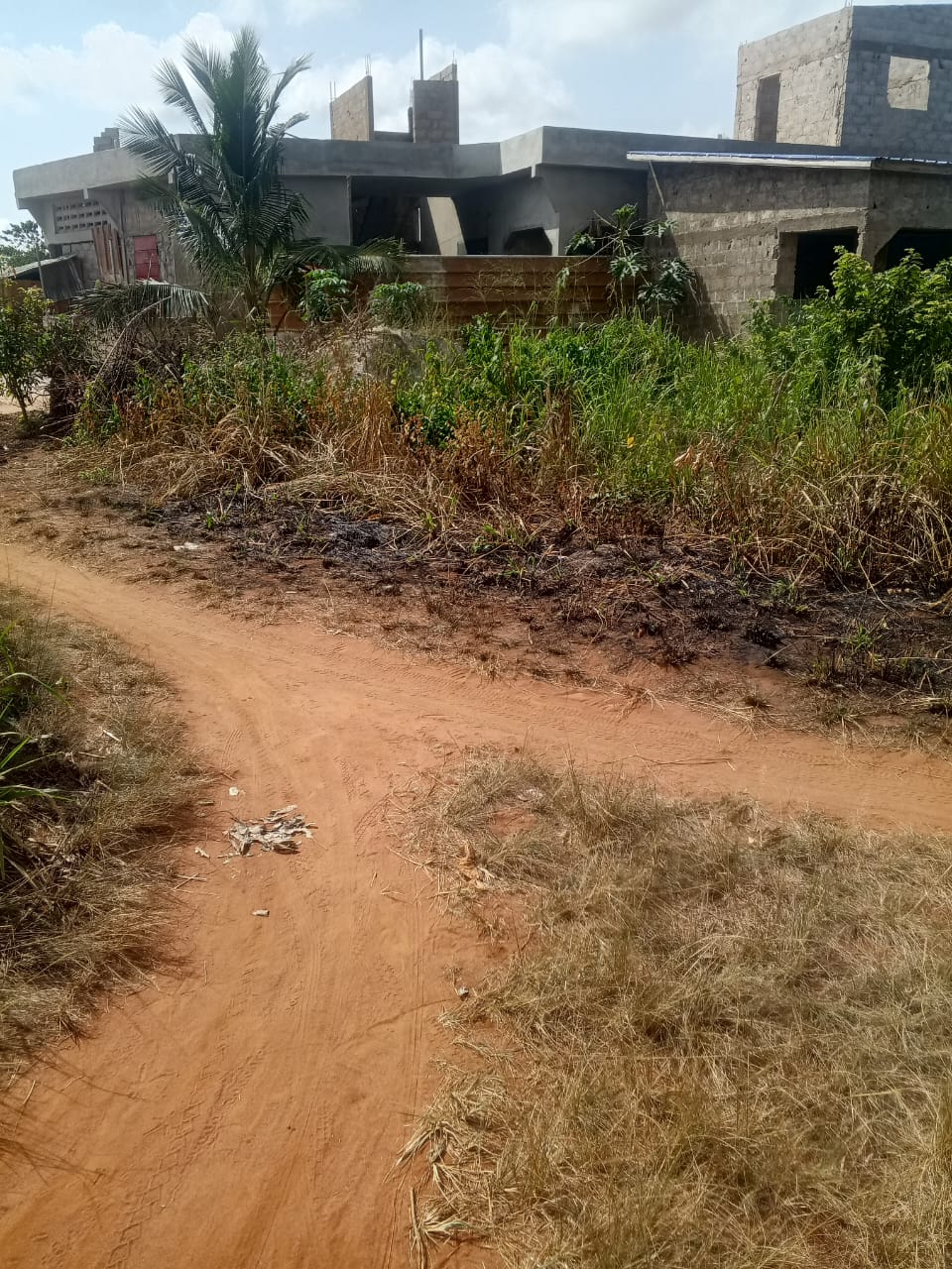 Terrain en vente à Kpala Mission Tové – 10 millions FCFA le lot