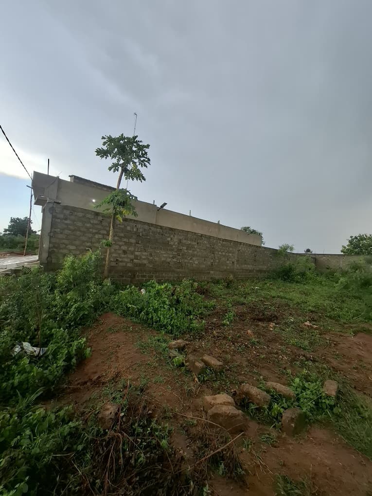 Terrain de 300 m² en vente à Aképé Péage sur la déviation – 6,5 millions FCFA