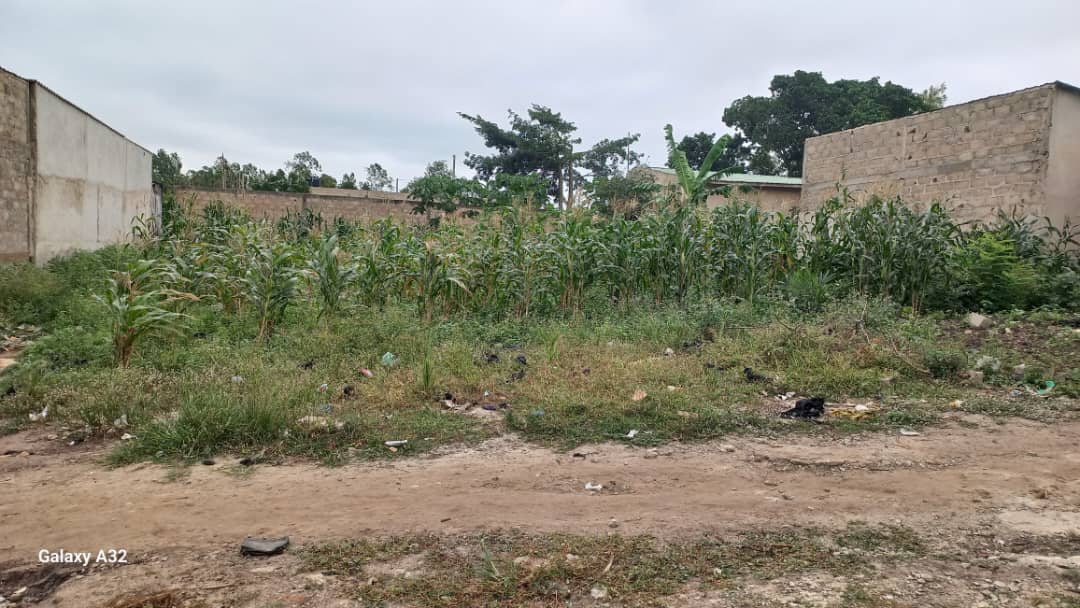 Terrain 1 lot à vendre à Klobatemé – 10.000.000 FCFA