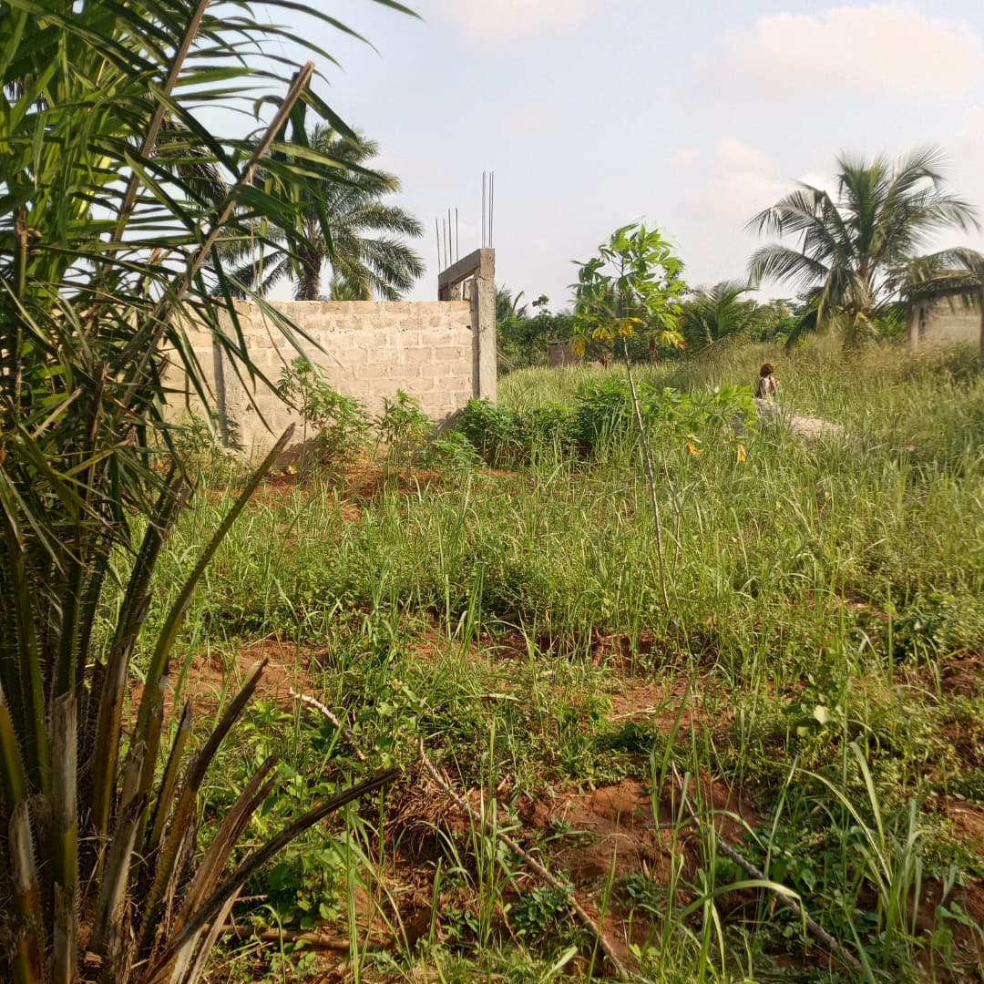 Terrain à vendre à Apessito Avenyakè – 3 millions FCFA