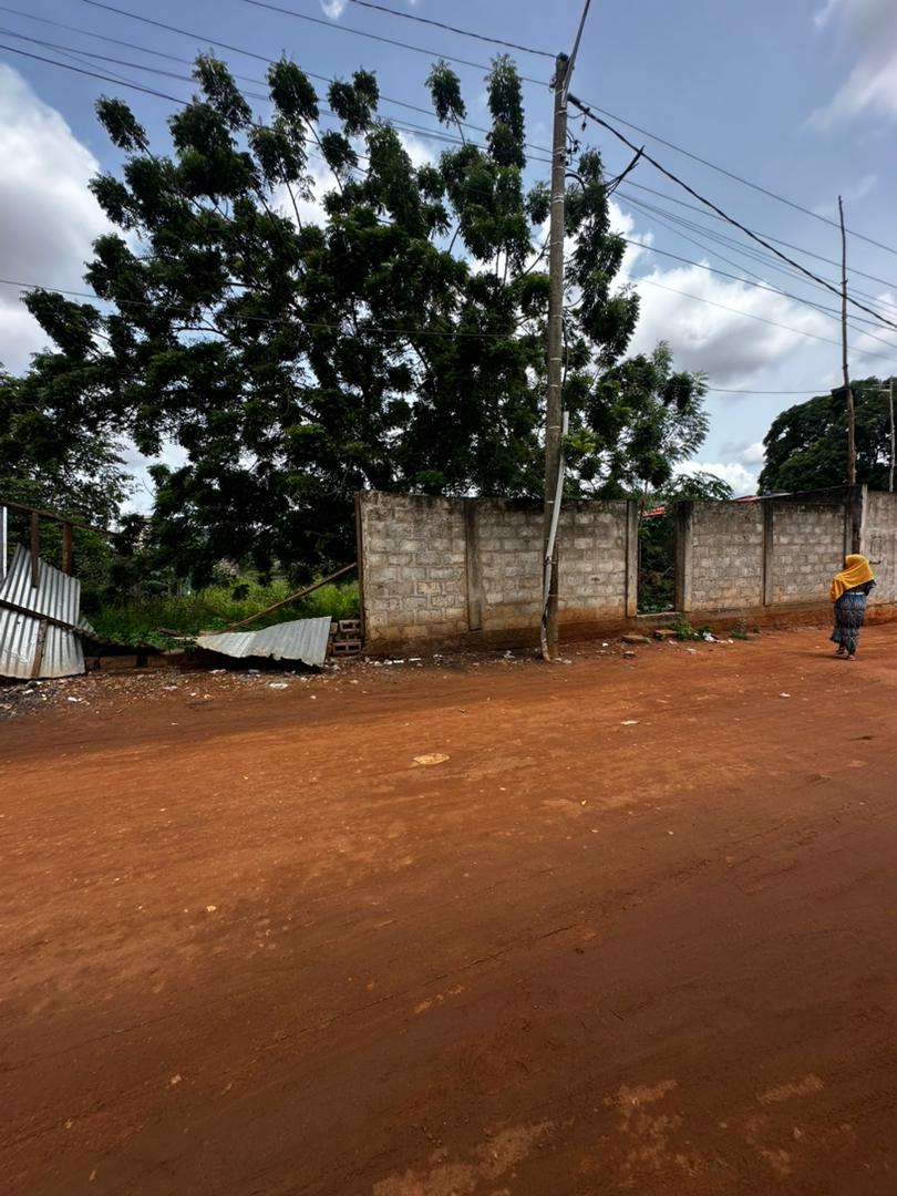Terrain clôturé de 600 m² avec titre foncier en vente à Agoè Fil’O PAC – 57 000 000 FCFA