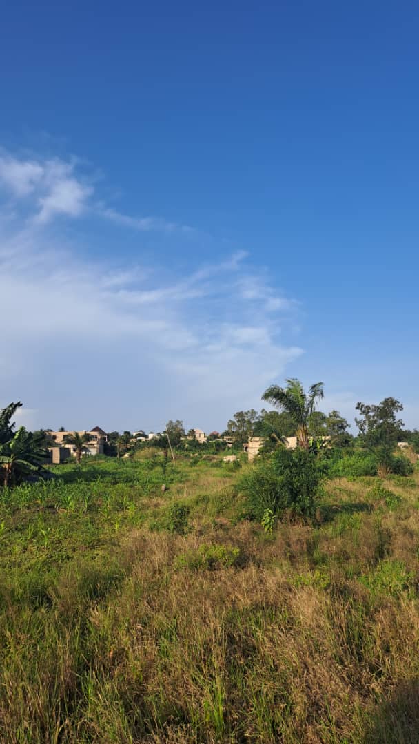 Terrain de 20 lots en vente à Adétikopé Kpotavé – 13 millions FCFA