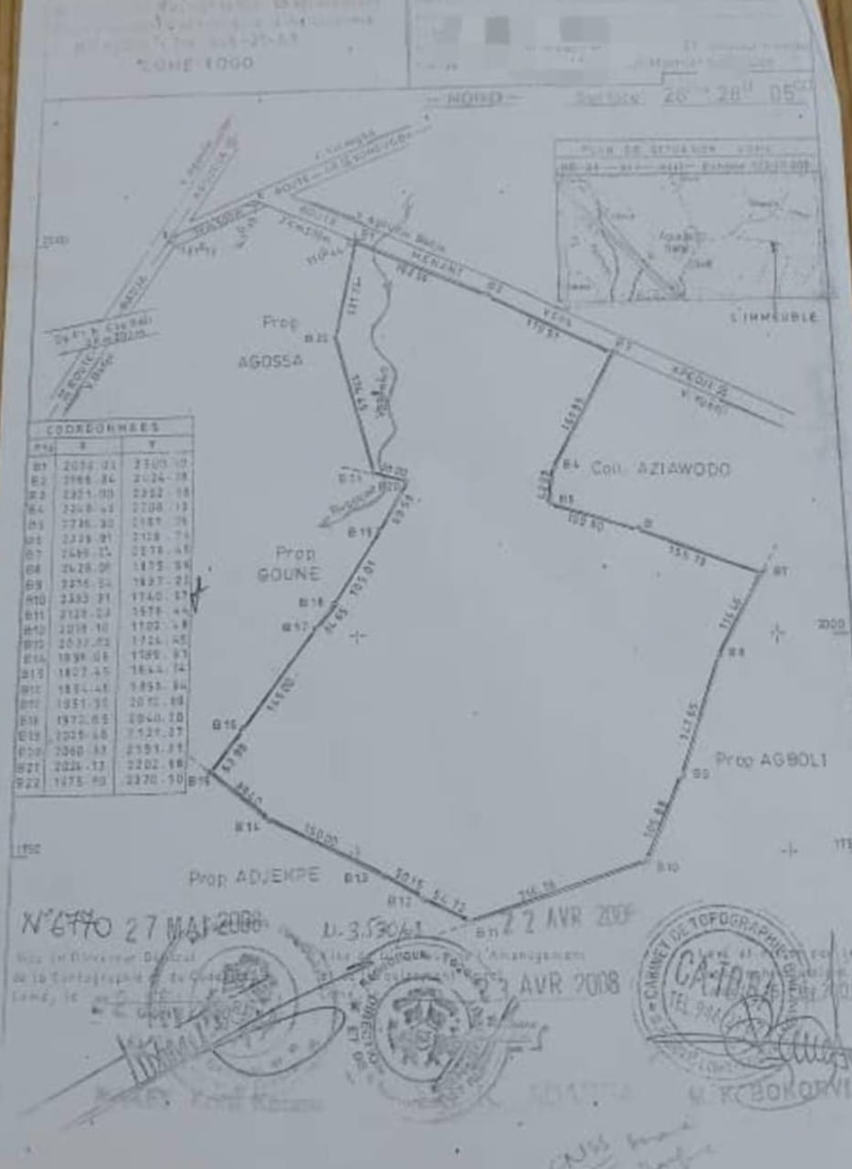 Terrain de 28 hectares en vente à Badja – 3 millions FCFA l'hectare