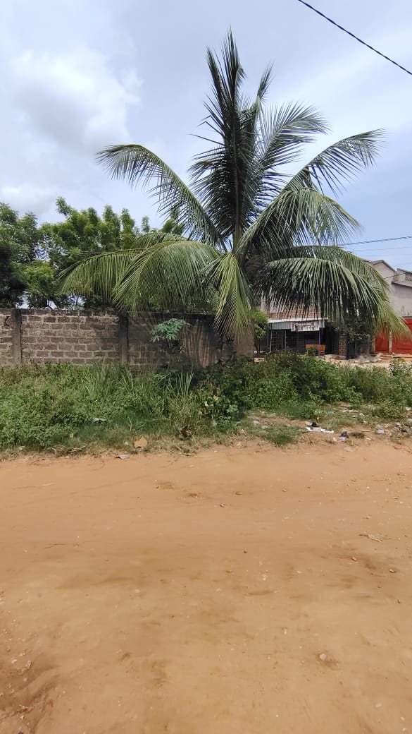 Terrain 1 lot en vente à Adidogomé – 27 millions FCFA
