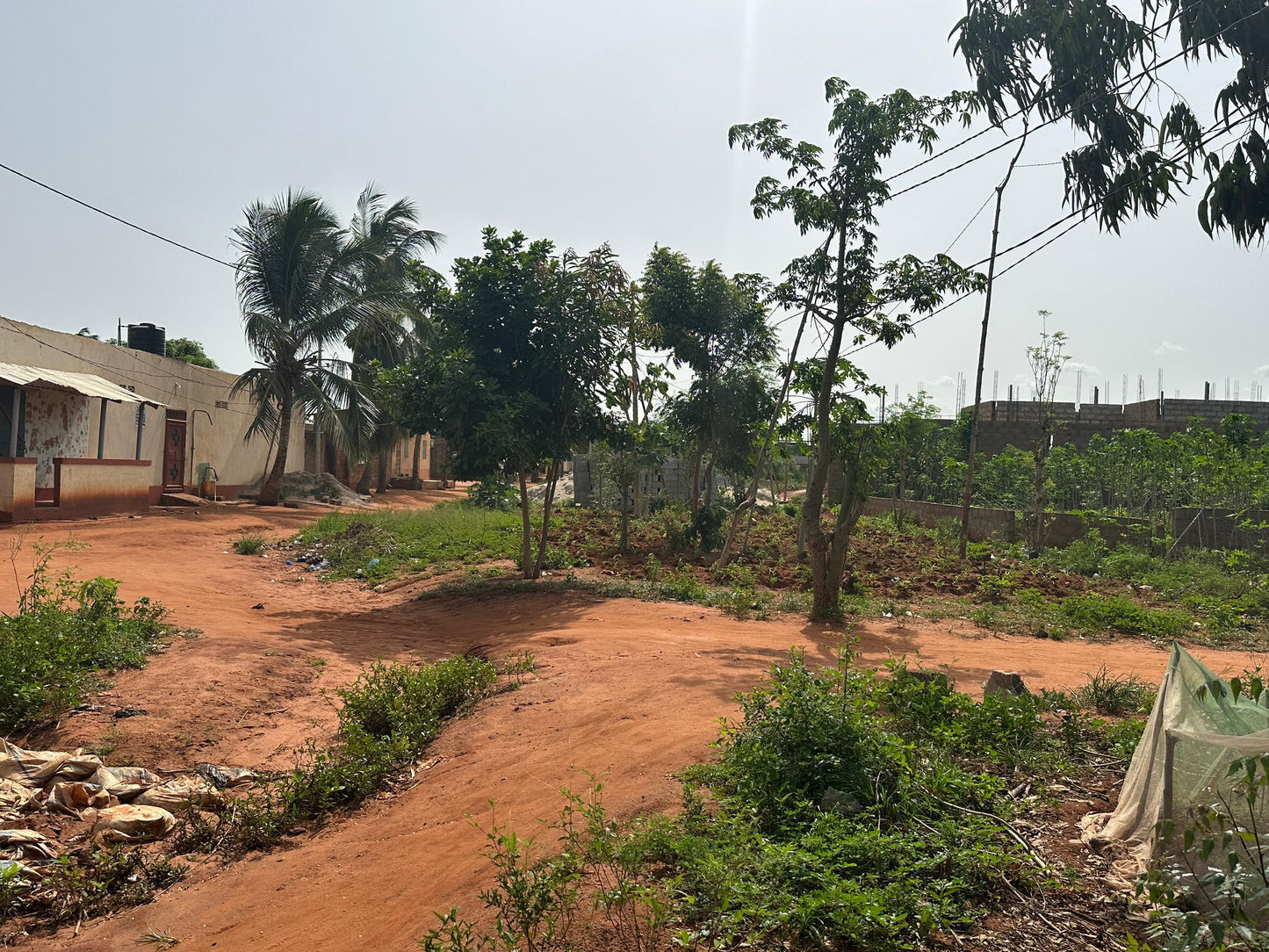 Terrain de 4200 m² (7 lots) en vente à Djagblé Abolavé – Prix à partir de 8 millions FCFA