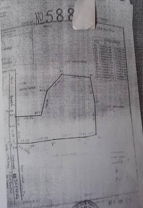 Terrain de 15 hectares en vente à Lilikopé au bord du goudron – 30 millions FCFA l'hectare
