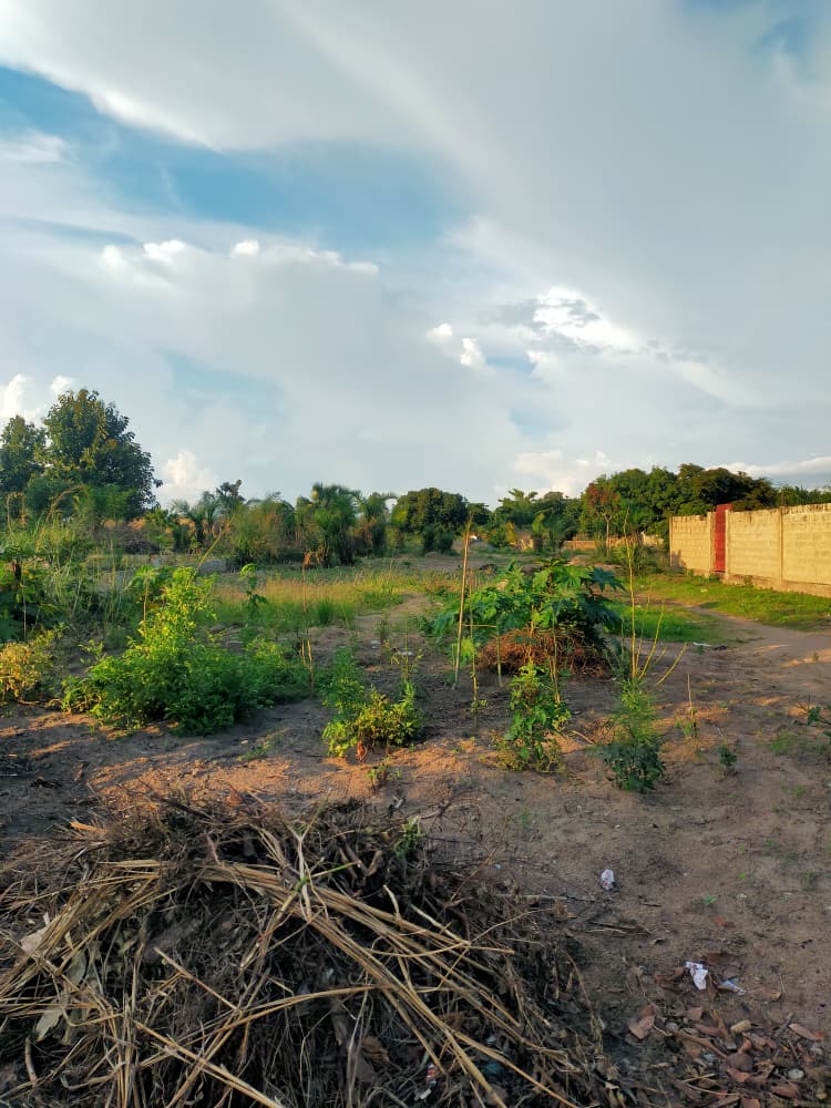 Terrain de plus d'un demi lot en vente à Adétikopé – 4 millions FCFA