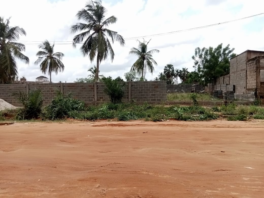 Terrain de 600 m² en vente en bordure de goudron à Agoè Legbassito – 45 millions FCFA