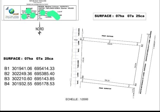 Terrain de 7 hectares en vente au bord de la nationale No1 à Togblé Tsikplonoukondji – 70 millions FCFA l'hectare