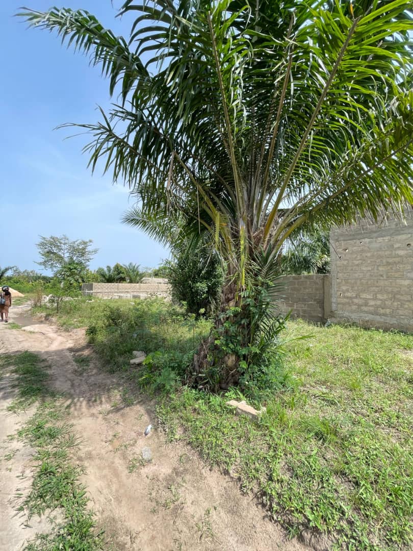 Terrain 1/2 lot en vente à Zanguéra Atidjin Jerusalem – 7.5 millions FCFA