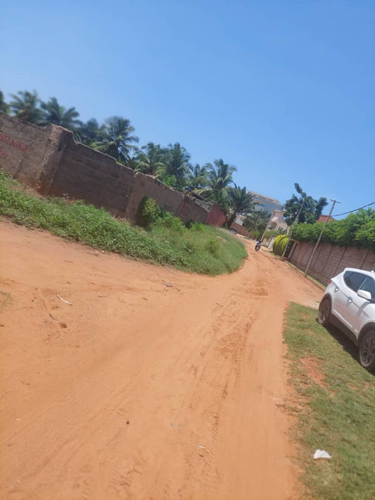 Terrain de 2 lots clôturé en vente à Avenou à 100m du goudron – 55 millions FCFA le lot