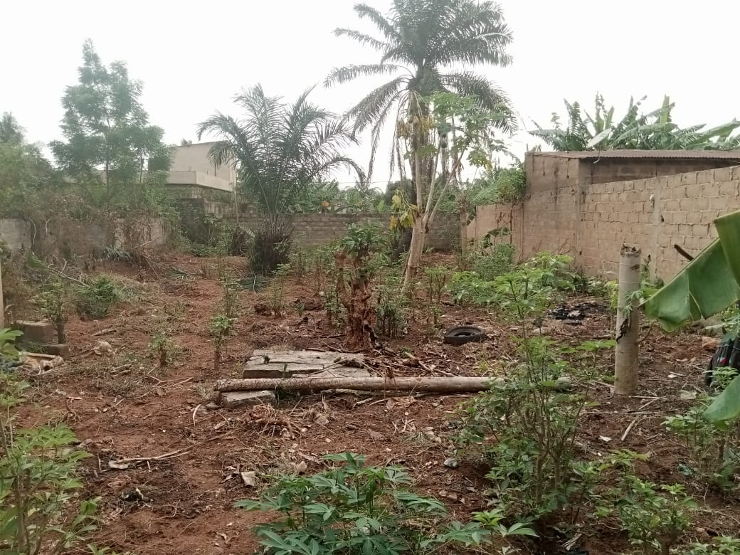 Terrain de 300 m² en vente à Agoè Sogbossito – 16 millions FCFA
