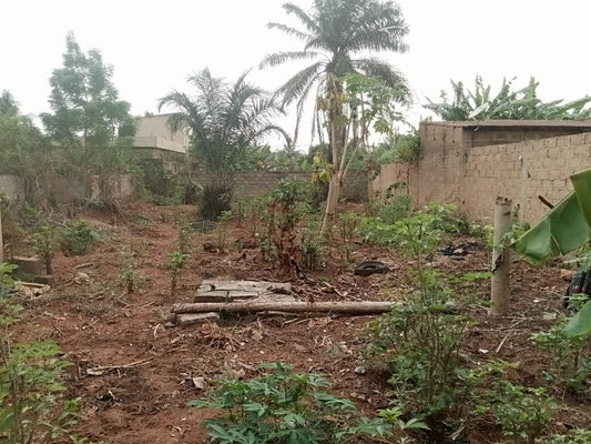 Terrain de 300 m² en vente à Agoè Sogbossito – 16 millions FCFA