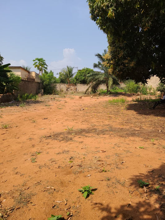 Terrain à vendre à Agoe Kossigan – 65 Millions FCFA