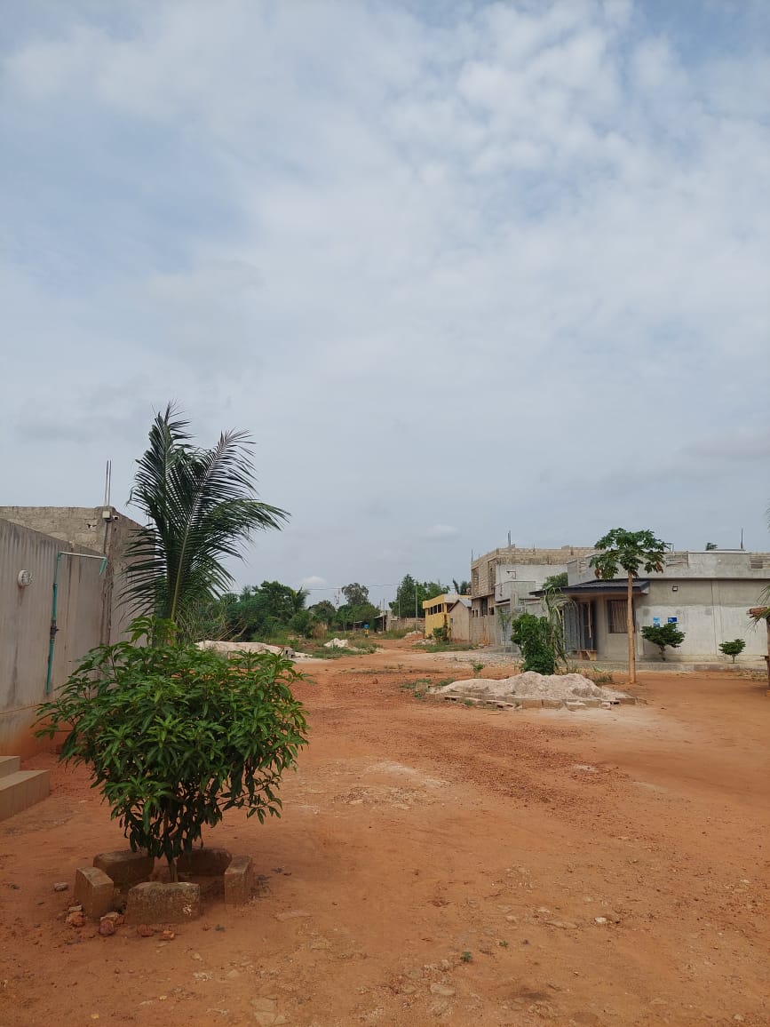 Terrain 1 lot en vente à Apessito – 12 millions FCFA