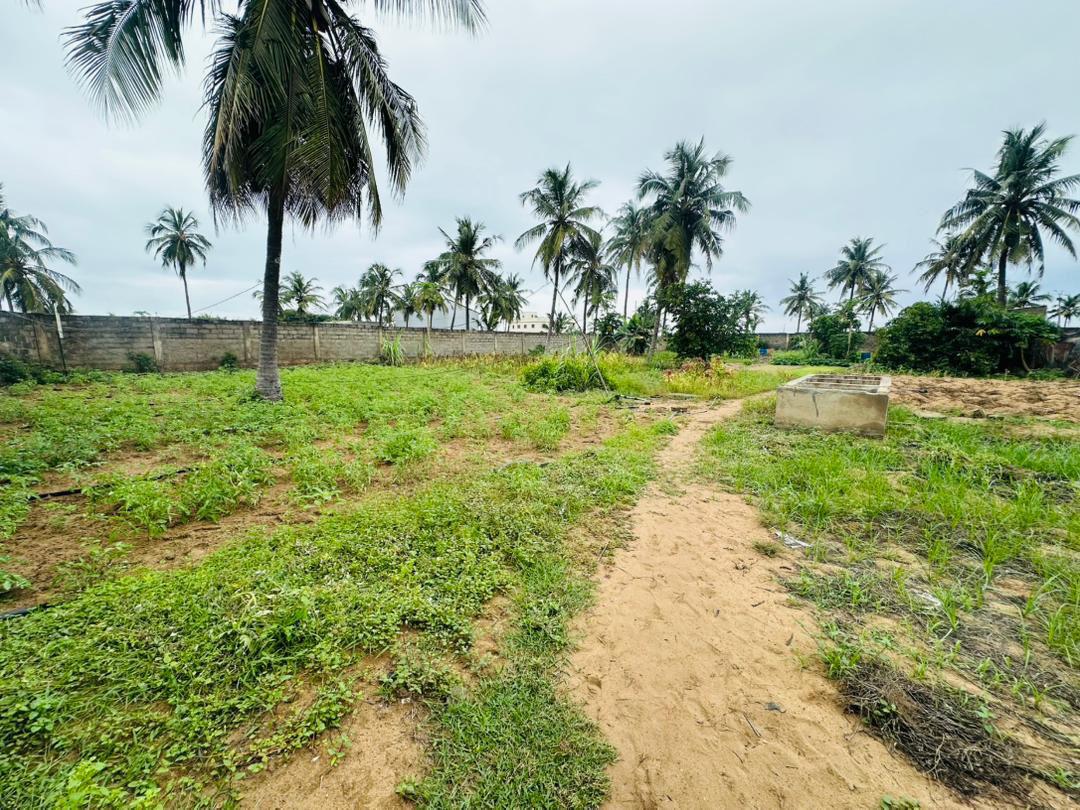 Terrain de 4 lots et 1/4 en vente à Kpogan Agodeke – 25 millions FCFA le lot