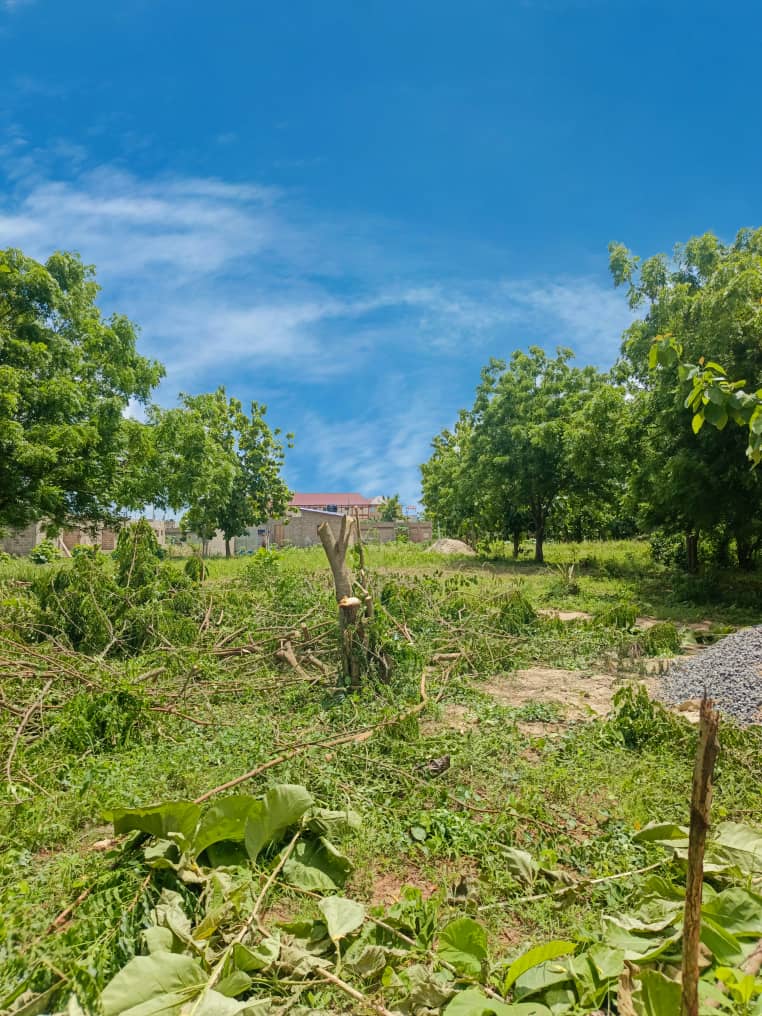 Terrain d'un demi-lot en vente à Aképédo – 7 millions FCFA