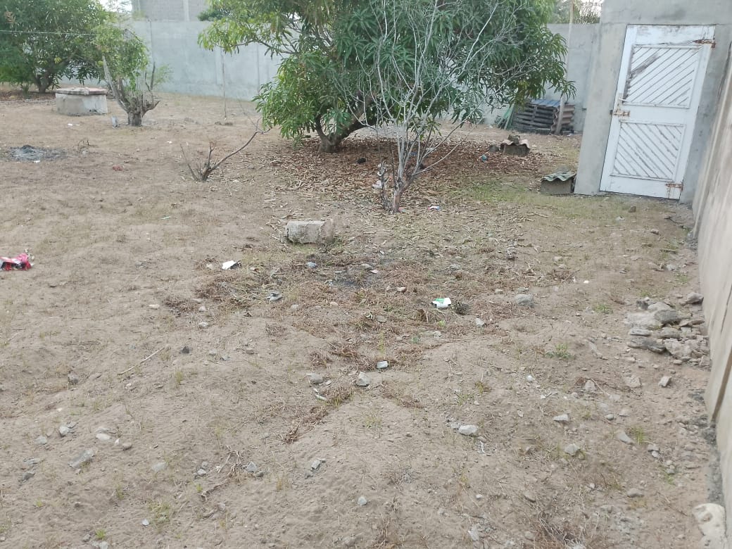 Terrain 1 lot en vente à Avepozo – 45 millions FCFA