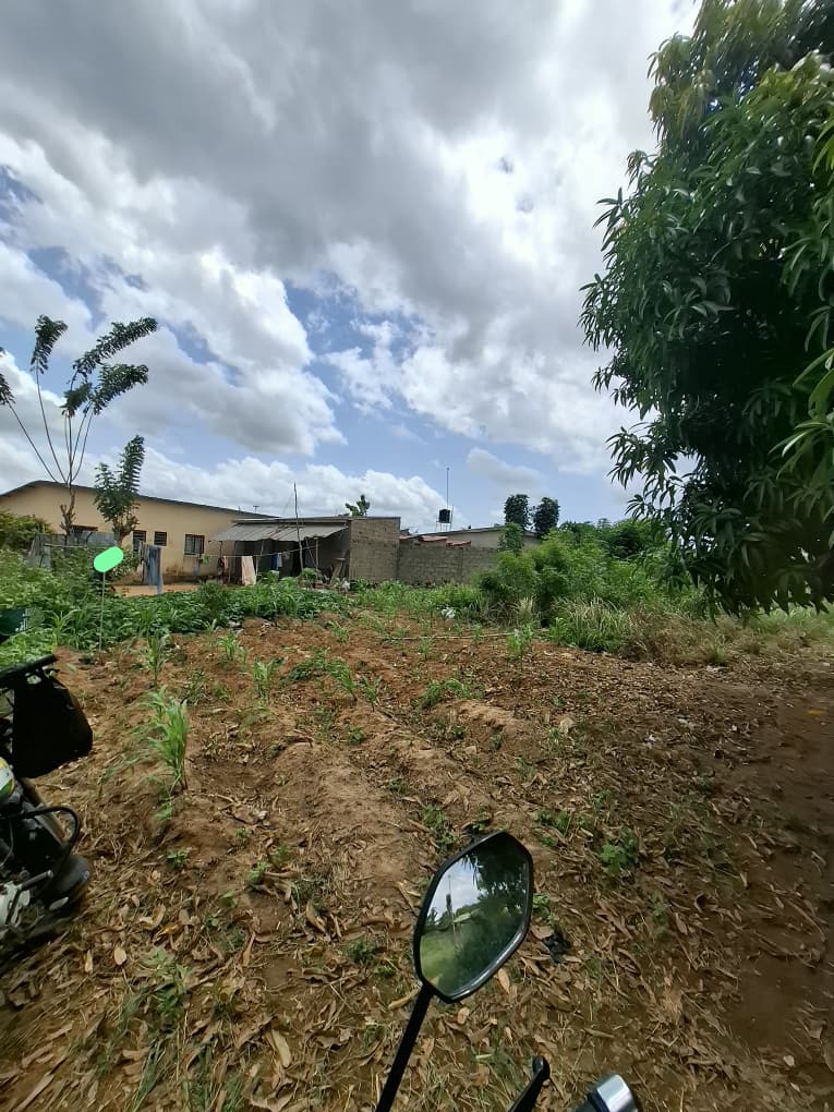 Terrain nu en vente à Sanguéra près du commissariat Wogomé – 4,5 millions FCFA