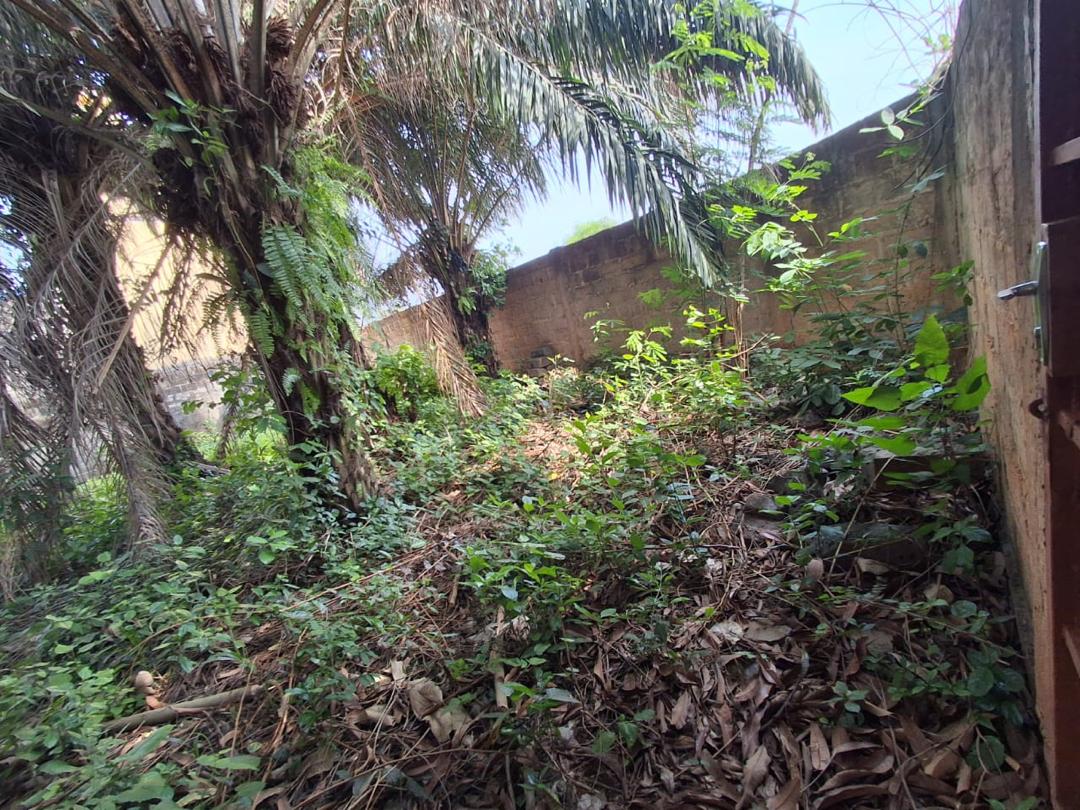 Terrain en bail à Zanguéra – 120000 FCFA par mois