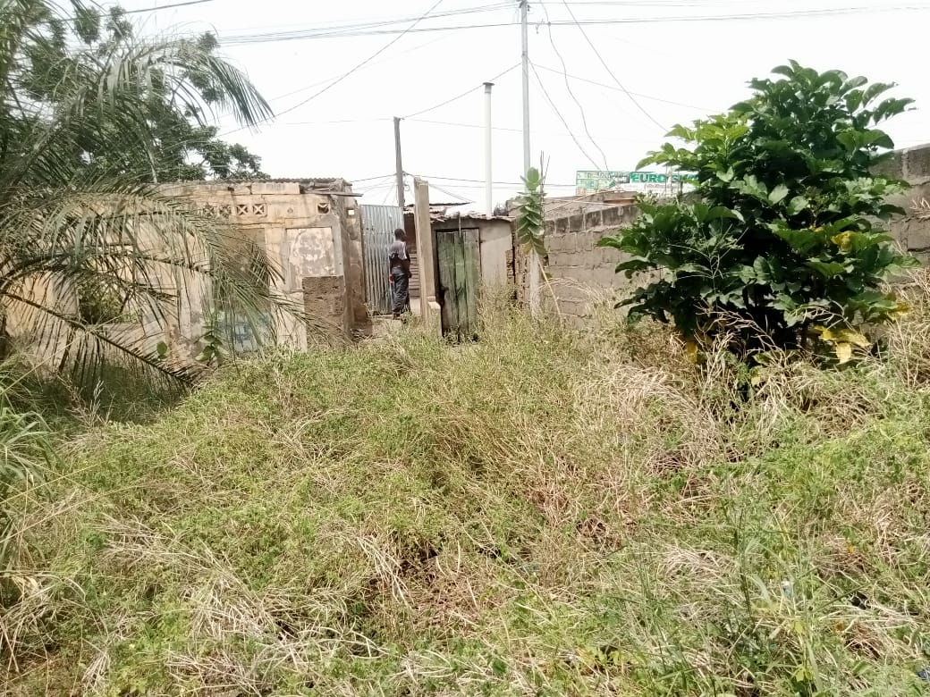 Terrain de 298 m² en vente à Amoutivé Dékon – 130 millions FCFA
