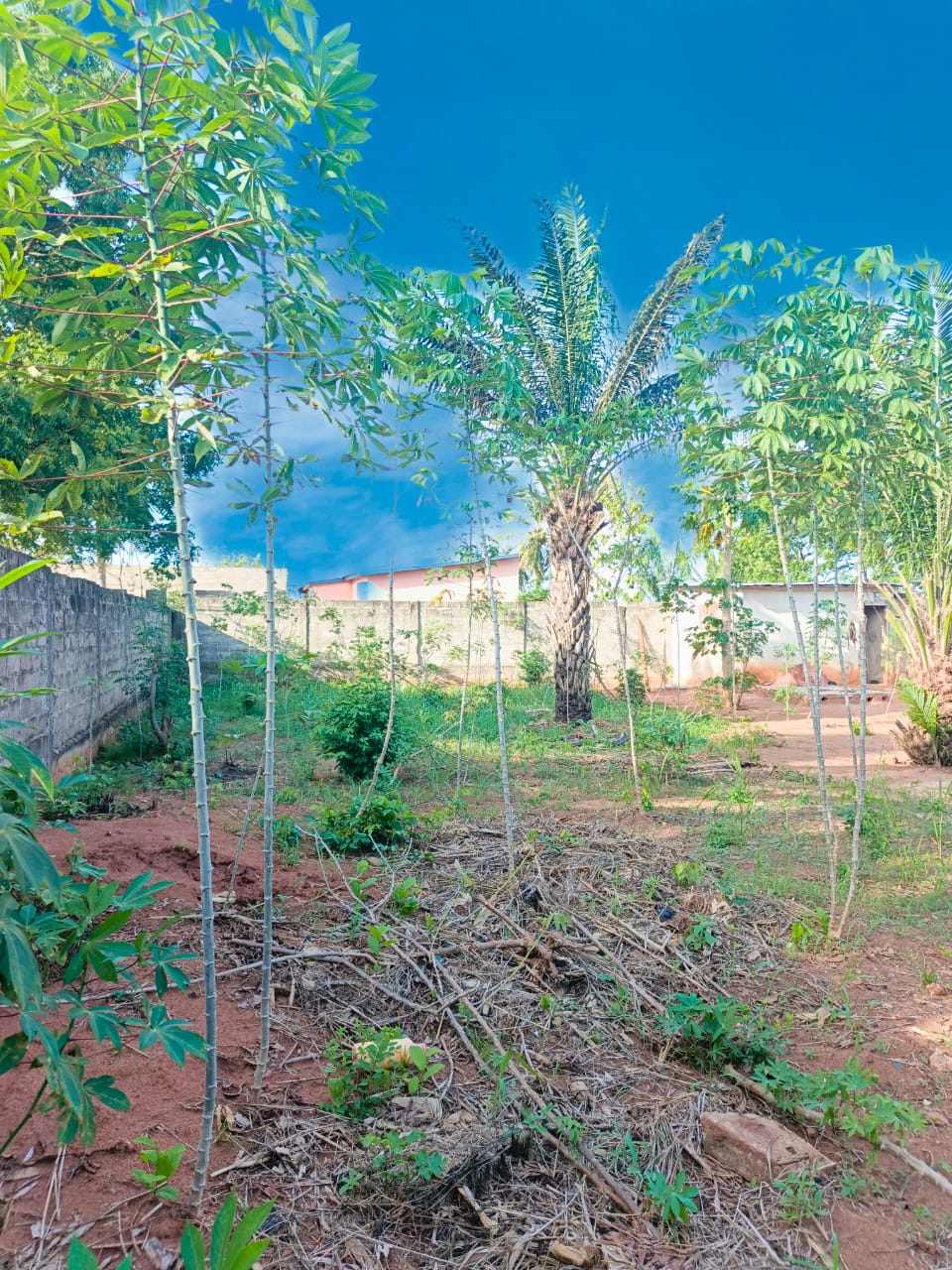 Terrain 1 lot en vente bord du goudron à Zanguera – 40 millions FCFA