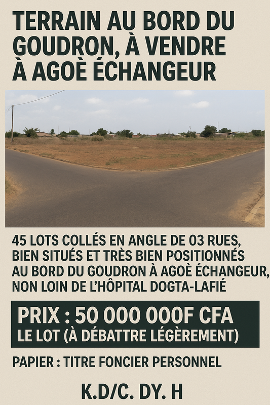 TERRAIN AU BORD DU GOUDRON À VENDRE À AGOÈ ÉCHANGEUR