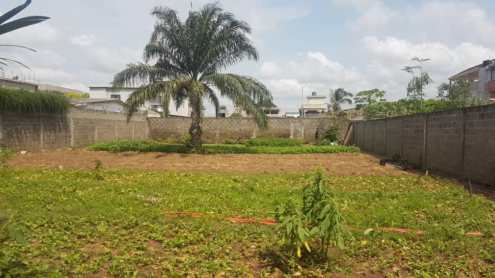 Terrain de 600 m² en vente à Lomé quartier Kpogan – 33 millions FCFA