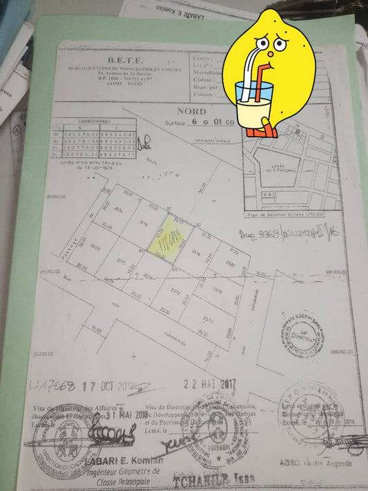 Terrain 1 lot en vente en bord du goudron à Agbalepedo – 120 millions FCFA