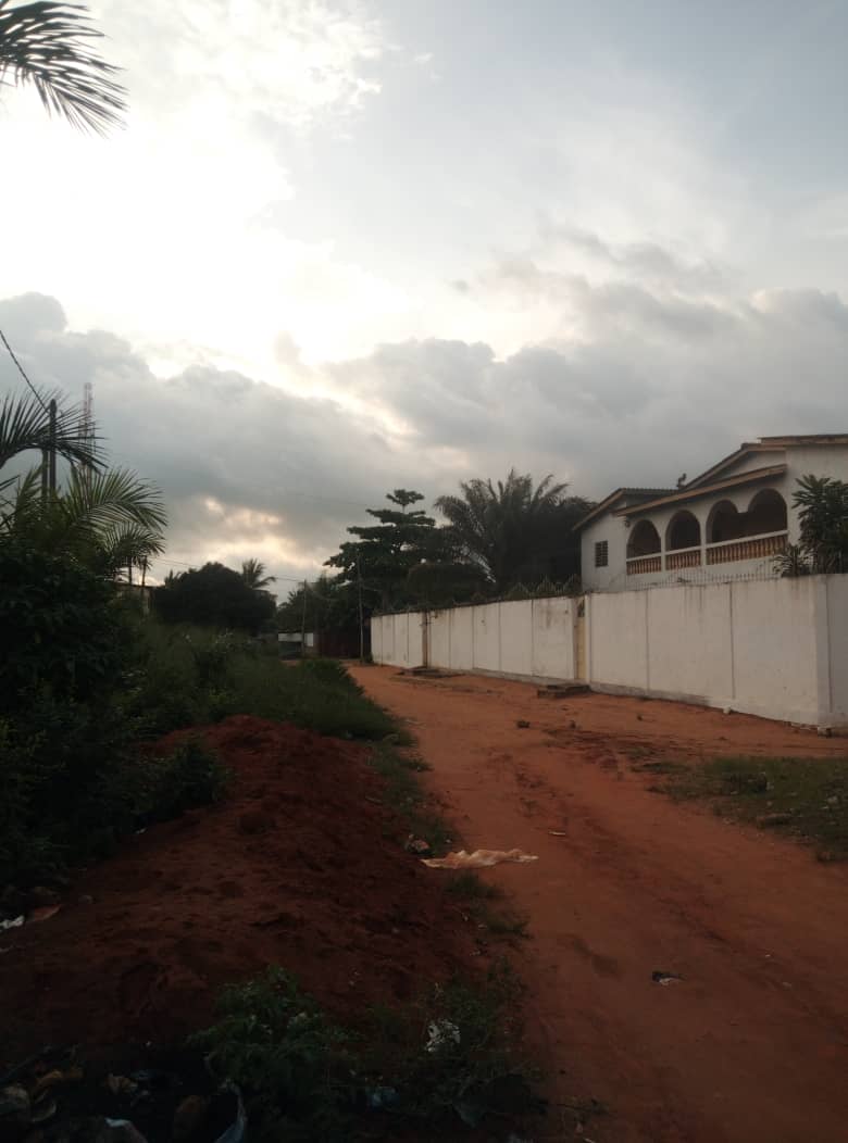 Terrain de 600 m² en vente à Zanguera – 20 millions FCFA