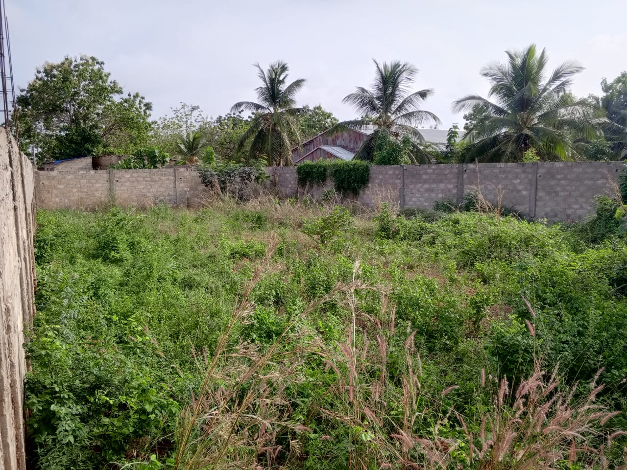 Terrain 1 lot en vente à Adidogomé – 20 millions FCFA