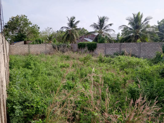 Terrain 1 lot en vente à Adidogomé – 20 millions FCFA