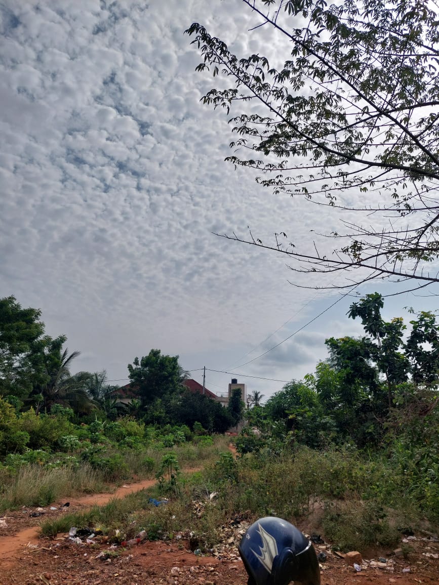 Terrain 1 lot en vente à Apessito – 12 millions FCFA