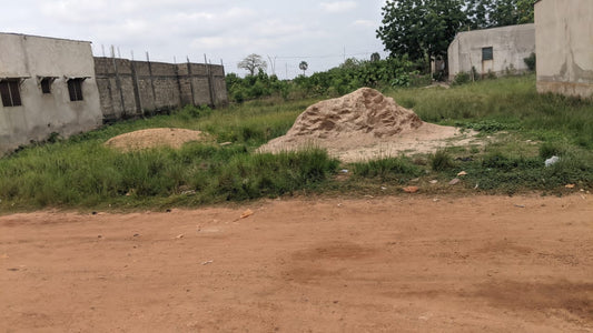 Terrain de 600 m² en vente à Agoè Alenka – 14 millions FCFA