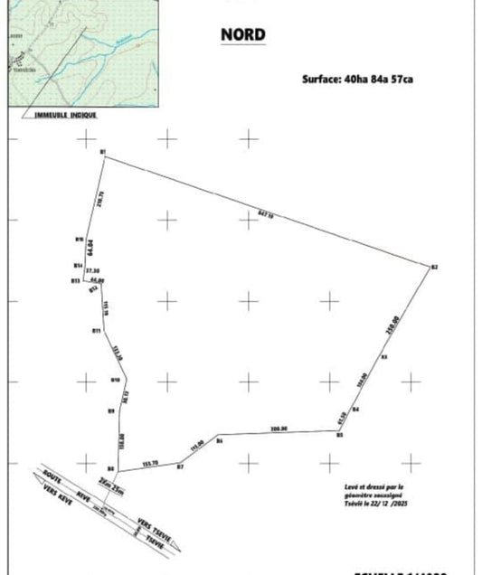 Terrain de 40 hectares en vente à Kévé Avedjé – 2.5 millions FCFA l'hectare