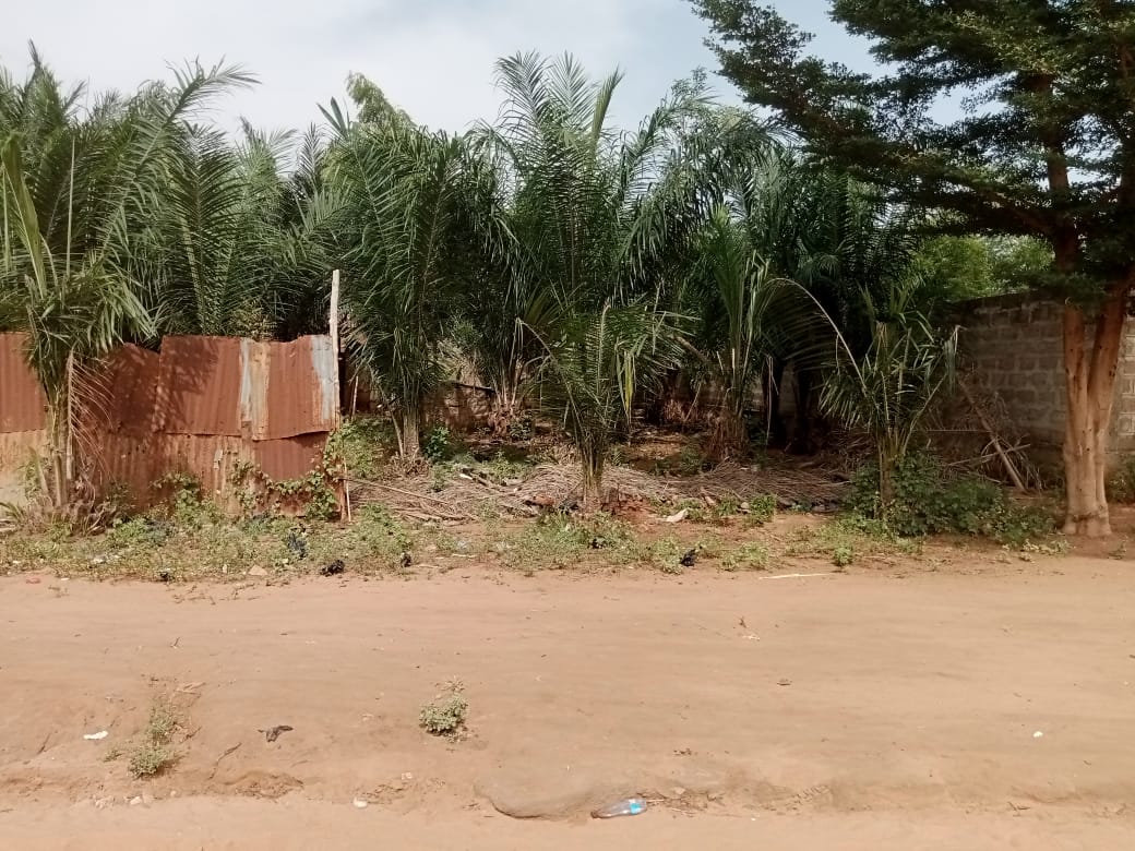 Terrain 1 lot en vente à Lankouvi – 26 millions FCFA