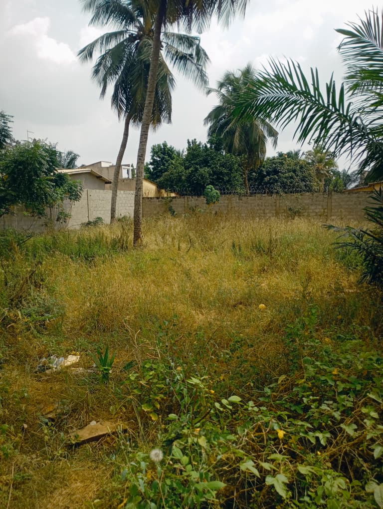 Terrain à vendre à Agoè Sogbossito – 35 Millions FCFA