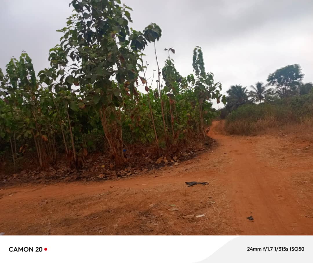 Terrain à vendre à Zanguéra – 17 Millions FCFA