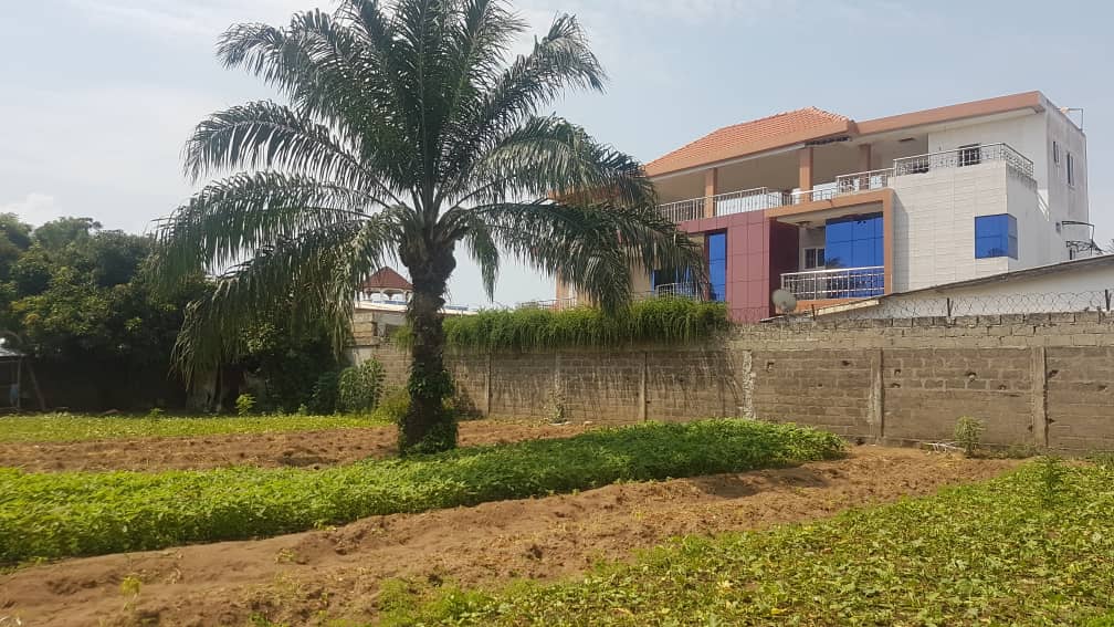 Terrain de 600 m² en vente à Lomé quartier Kpogan – 33 millions FCFA